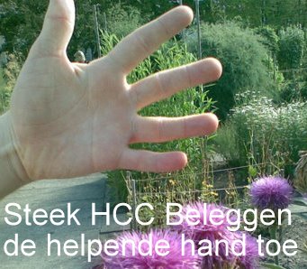 Help HCC Beleggen Een Handje